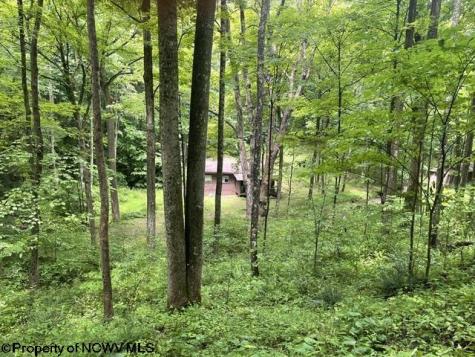 1099 Five Fork Hill Road Newburg WV 26410-9713