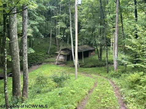 1099 Five Fork Hill Road Newburg WV 26410-9713