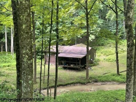 1099 Five Fork Hill Road Newburg WV 26410-9713