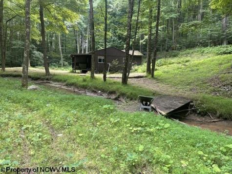 1099 Five Fork Hill Road Newburg WV 26410-9713