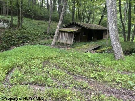 1099 Five Fork Hill Road Newburg WV 26410-9713