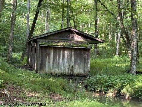 1099 Five Fork Hill Road Newburg WV 26410-9713