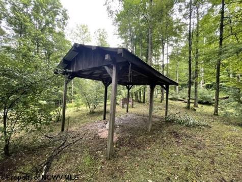 1099 Five Fork Hill Road Newburg WV 26410-9713