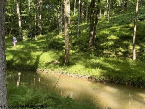 1099 Five Fork Hill Road Newburg WV 26410-9713