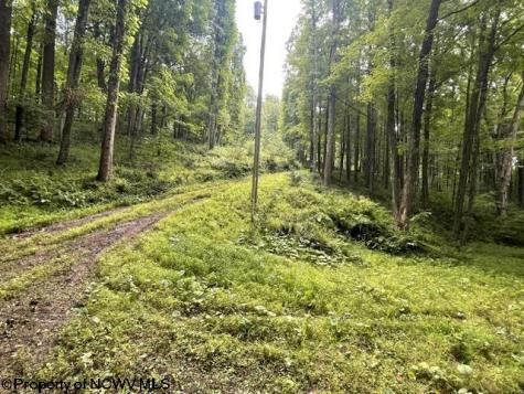 1099 Five Fork Hill Road Newburg WV 26410-9713