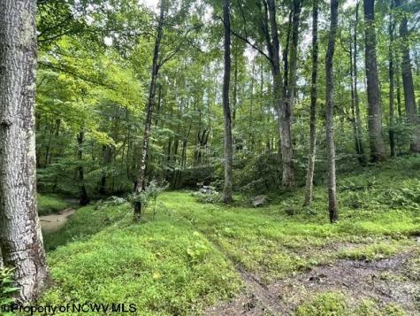 1099 Five Fork Hill Road Newburg WV 26410-9713