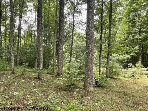 1099 Five Fork Hill Road Newburg WV 26410-9713