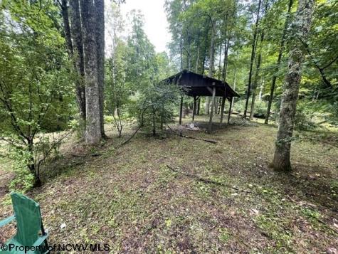 1099 Five Fork Hill Road Newburg WV 26410-9713