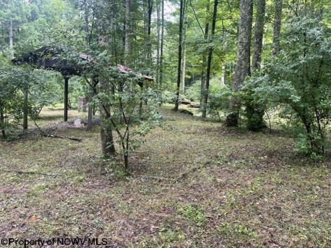 1099 Five Fork Hill Road Newburg WV 26410-9713