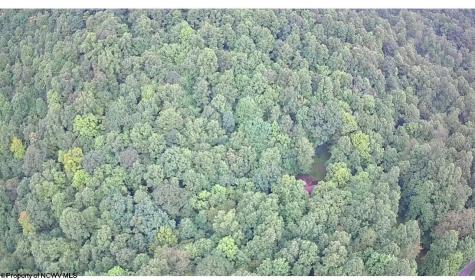 1099 Five Fork Hill Road Newburg WV 26410-9713