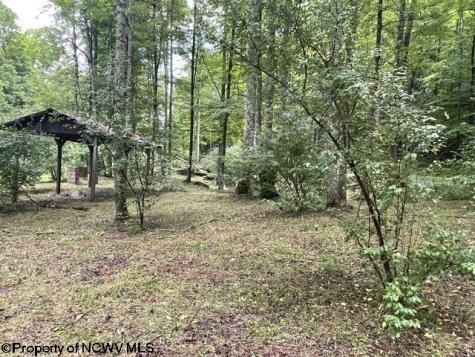1099 Five Fork Hill Road Newburg WV 26410-9713