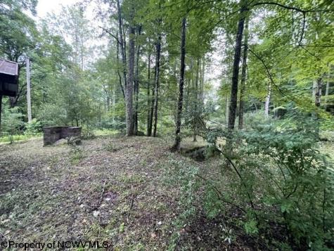 1099 Five Fork Hill Road Newburg WV 26410-9713
