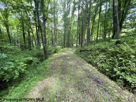 1099 Five Fork Hill Road Newburg WV 26410-9713