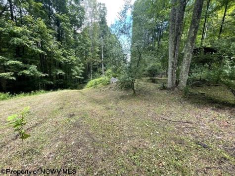 1099 Five Fork Hill Road Newburg WV 26410-9713