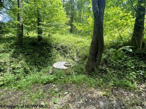 1099 Five Fork Hill Road Newburg WV 26410-9713