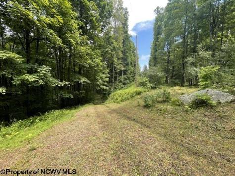 1099 Five Fork Hill Road Newburg WV 26410-9713