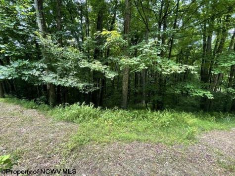 1099 Five Fork Hill Road Newburg WV 26410-9713