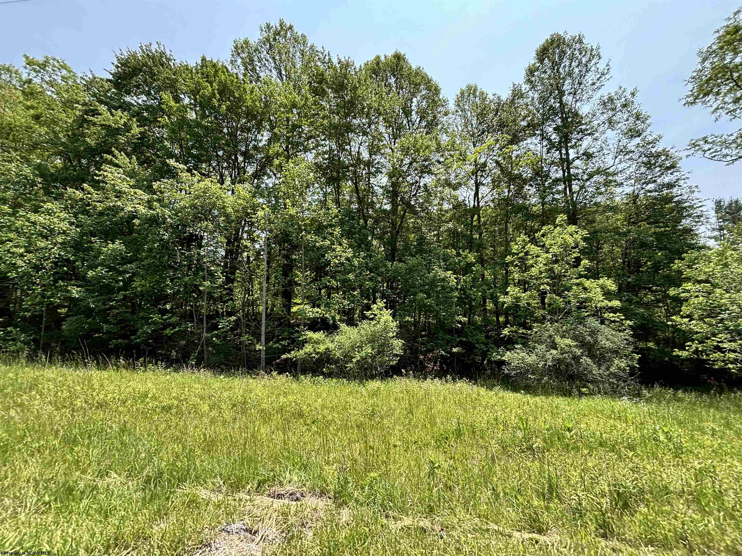 0 Barbour County Highway Philippi WV 26416