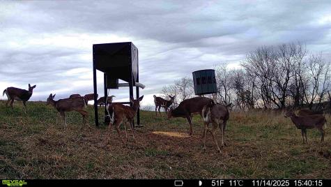 0 Poplar Springs Road Cameron WV 26033