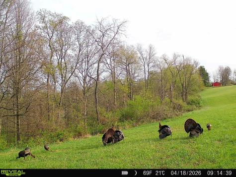 0 Poplar Springs Road Cameron WV 26033