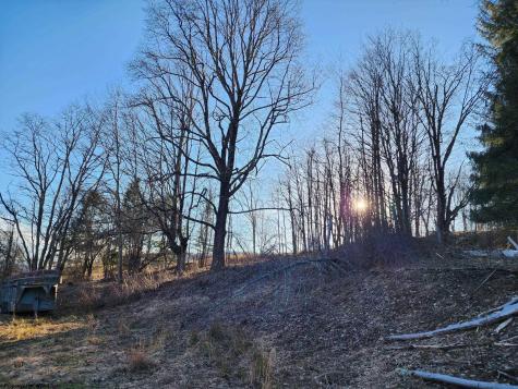 169 Wilma Lee Memorial Drive Bowden WV 26254