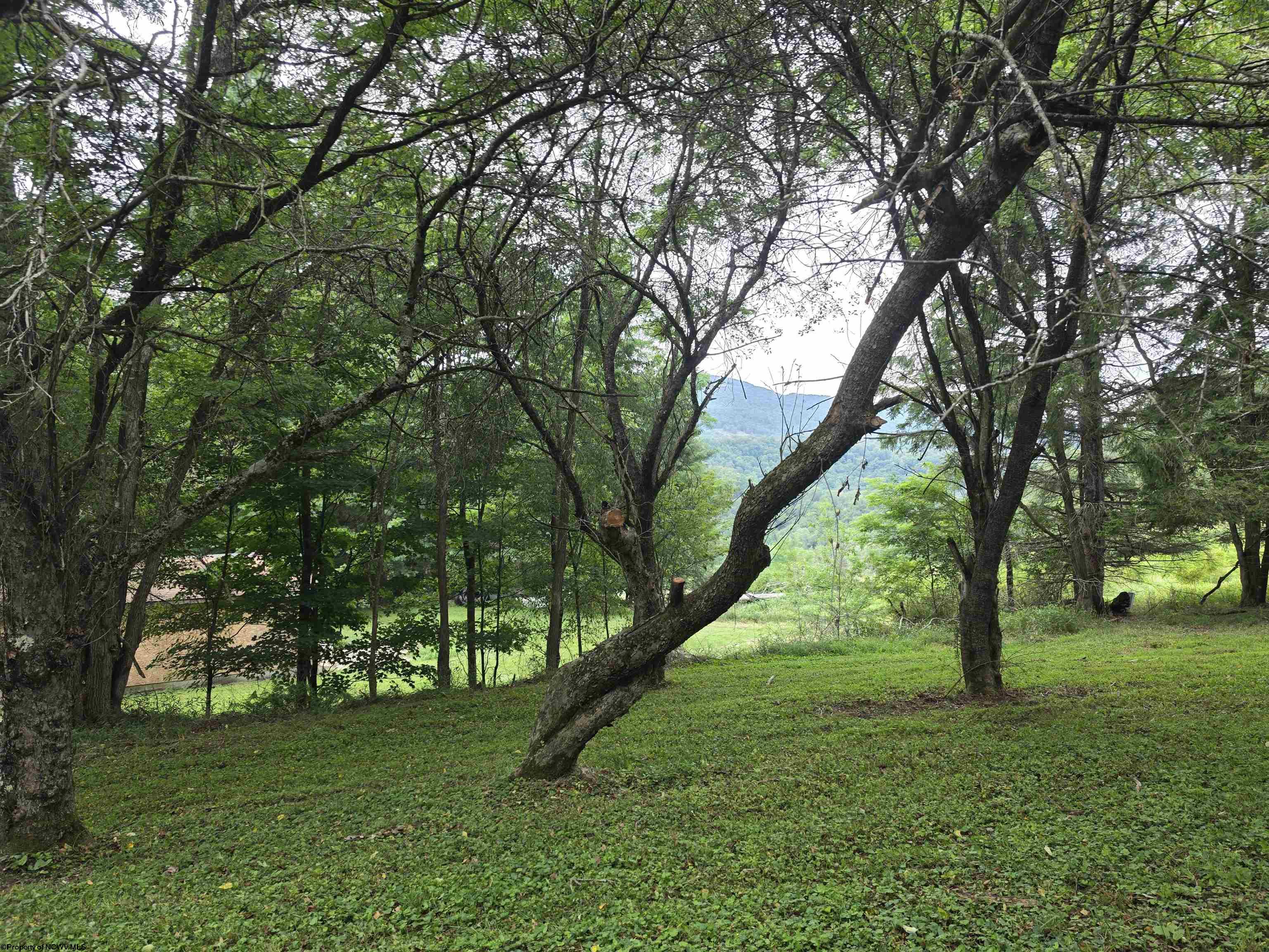 169 Wilma Lee Memorial Drive Bowden WV 26254