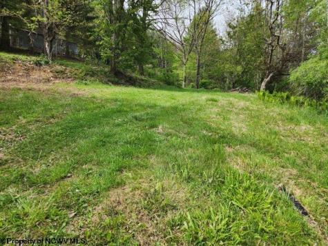 169 Wilma Lee Memorial Drive Bowden WV 26254