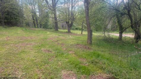 169 Wilma Lee Memorial Drive Bowden WV 26254