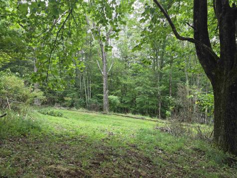 169 Wilma Lee Memorial Drive Bowden WV 26254
