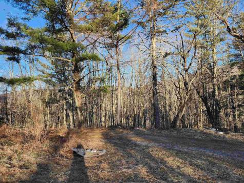 169 Wilma Lee Memorial Drive Bowden WV 26254