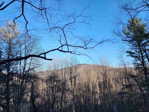 169 Wilma Lee Memorial Drive Bowden WV 26254