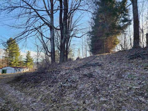 169 Wilma Lee Memorial Drive Bowden WV 26254