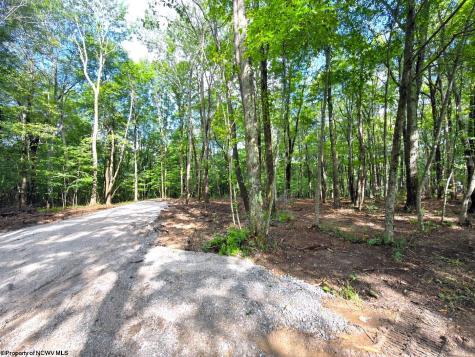 1261 Beaver Creek Drive Bruceton Mills WV 26525