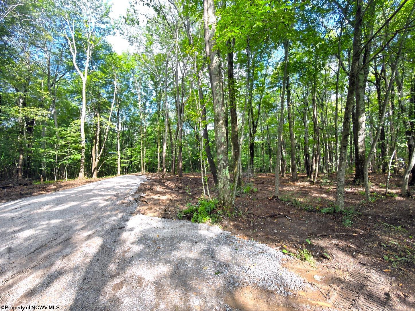 1261 Beaver Creek Drive Bruceton Mills WV 26525