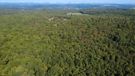 1261 Beaver Creek Drive Bruceton Mills WV 26525