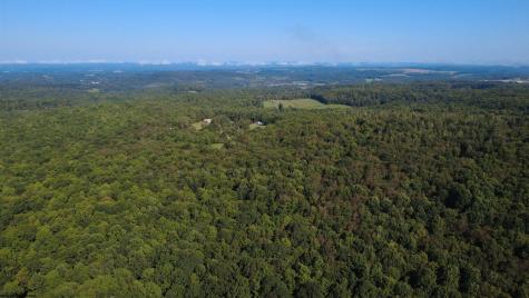 1261 Beaver Creek Drive Bruceton Mills WV 26525