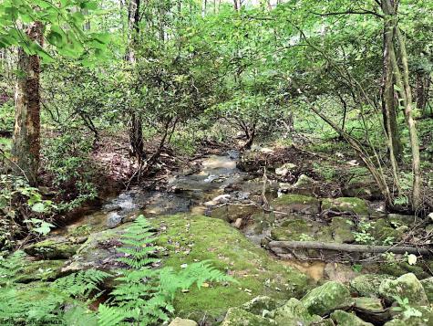 1261 Beaver Creek Drive Bruceton Mills WV 26525