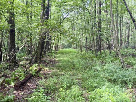 1261 Beaver Creek Drive Bruceton Mills WV 26525