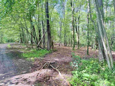 1261 Beaver Creek Drive Bruceton Mills WV 26525
