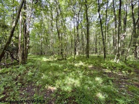1261 Beaver Creek Drive Bruceton Mills WV 26525