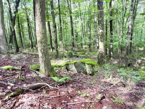 1261 Beaver Creek Drive Bruceton Mills WV 26525