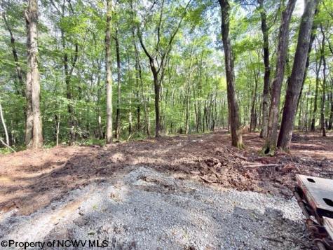 1261 Beaver Creek Drive Bruceton Mills WV 26525