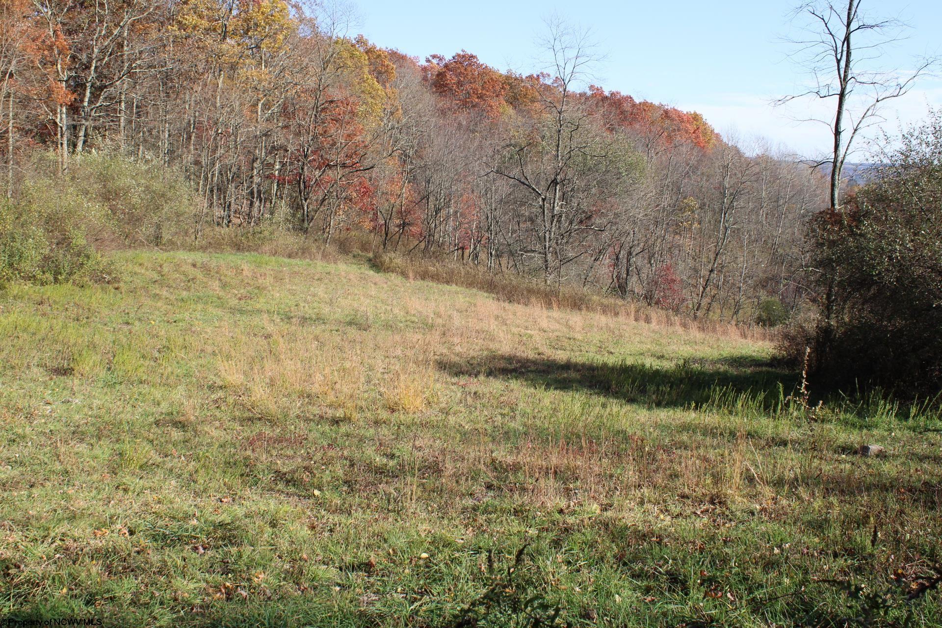4 Cascade Ridge Masontown WV 26542
