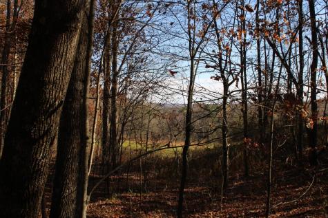 4 Cascade Ridge Masontown WV 26542