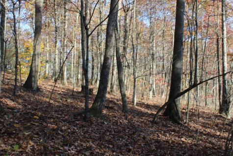 4 Cascade Ridge Masontown WV 26542
