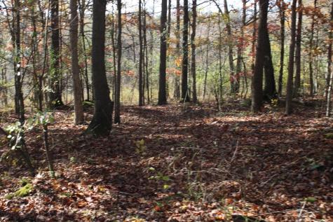 4 Cascade Ridge Masontown WV 26542