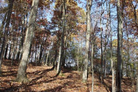 4 Cascade Ridge Masontown WV 26542