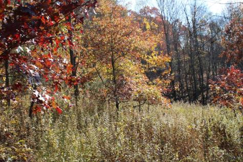 4 Cascade Ridge Masontown WV 26542