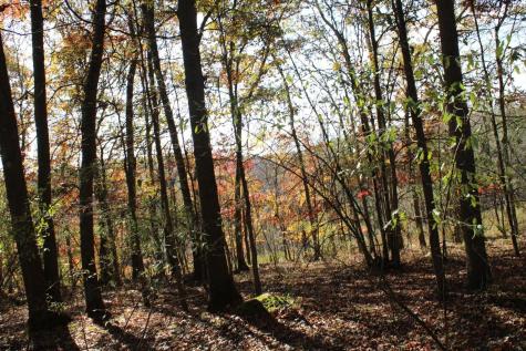 4 Cascade Ridge Masontown WV 26542