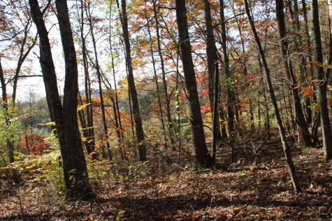 4 Cascade Ridge Masontown WV 26542